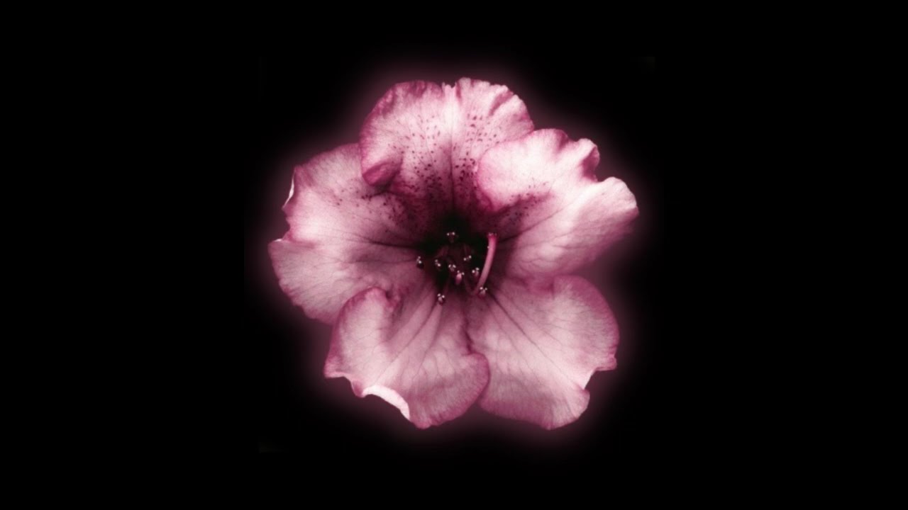 ✩ Random Sped Up & Slowed edit audios bc ITS VALENTINES DAY  pt42 + timestamps !! ✩