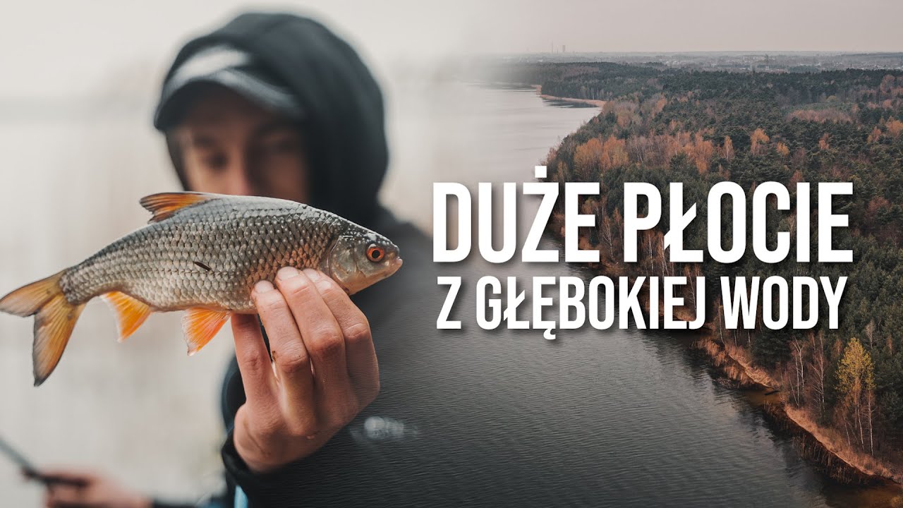 Duże płocie z głębokiej wody