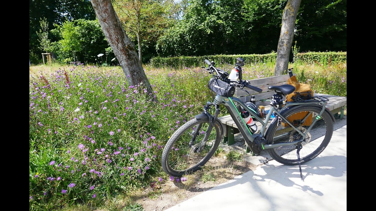 Met de E bike door boomtoppen en door het water in de provincie Belgische Limburg