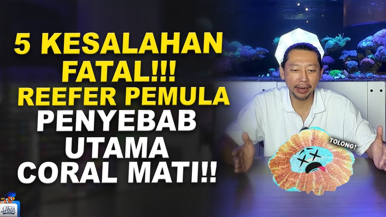 5 Kesalahan Pemula yang Bikin Coral di Akuarium Laut Cepat Mati