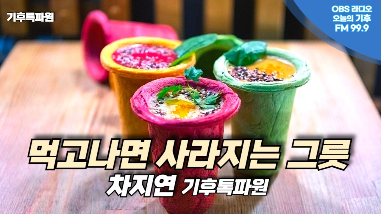 먹고나면 사라지는 그릇...차지연 기후톡파원