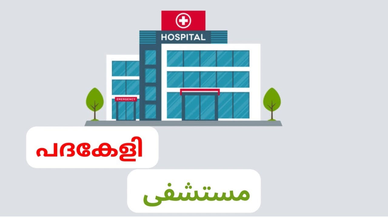 Hospital words in Arabic | Video | padhakeli | Arabic | language | Vocabulary | doctor
