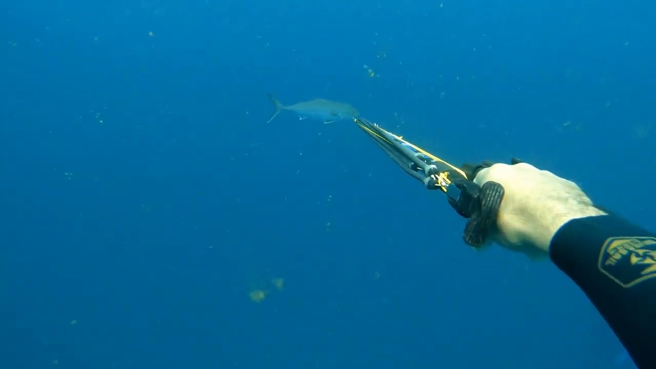 A Jornada no Azul, Silêncio. Respiração. Profundidade. Então… A Caçada Começa.