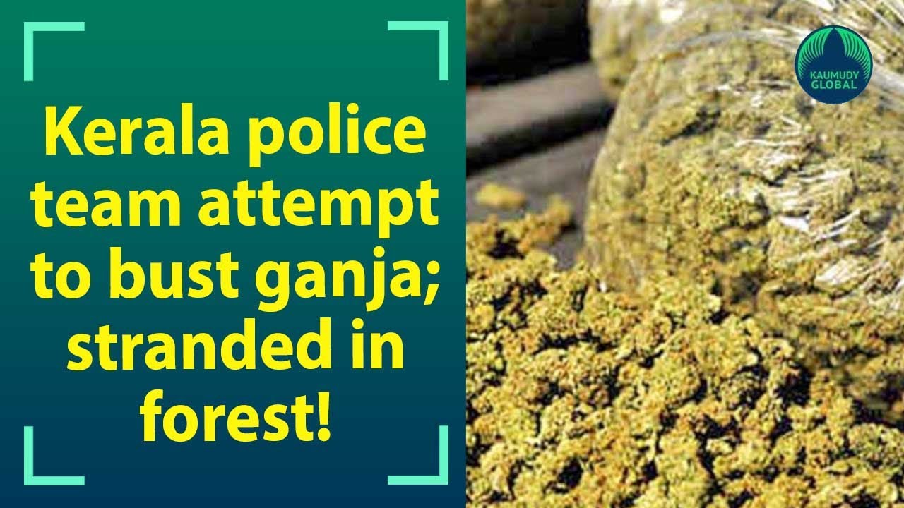 Kerala Police team get stranded in forest during an attempt to bust ganja