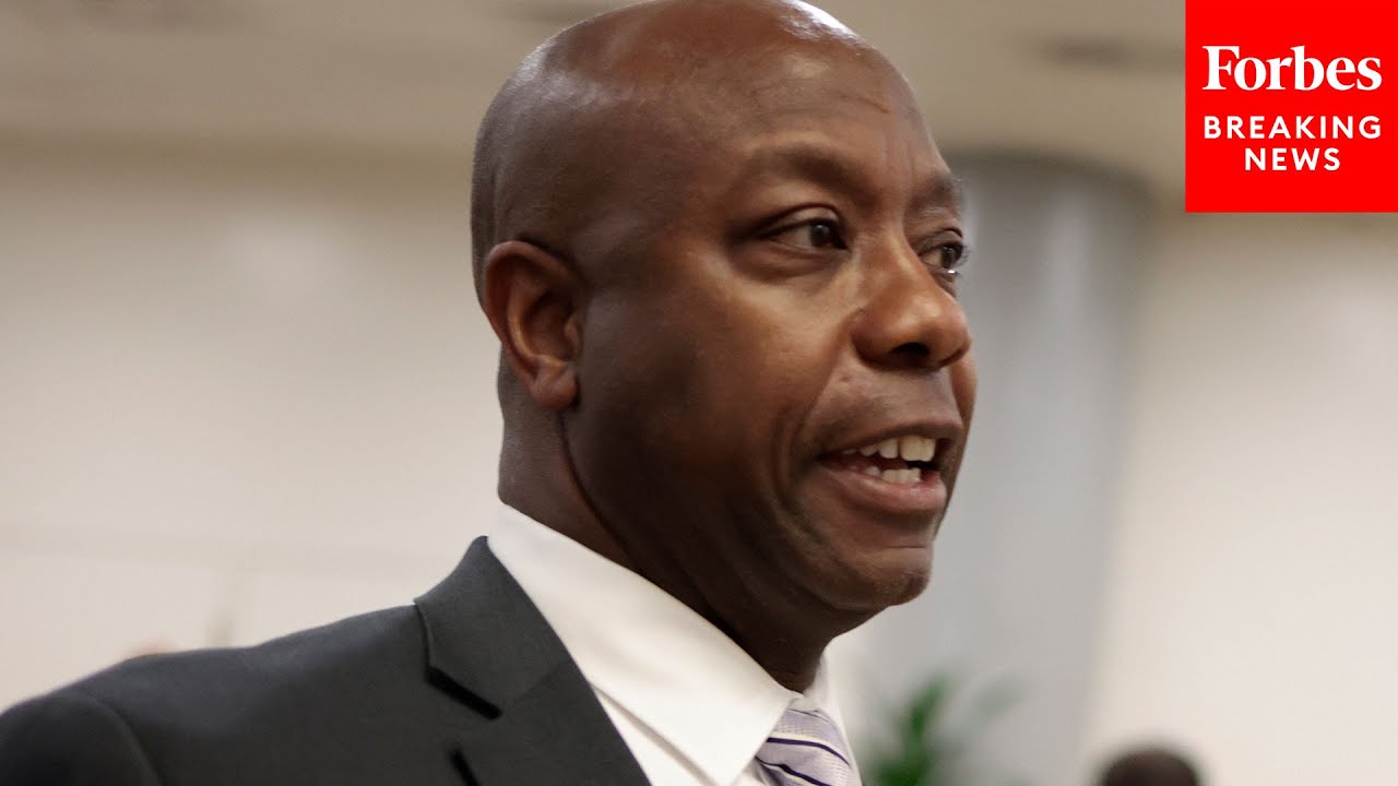 'I'm Ready': Sen. Tim Scott Makes The Case For Why He Should Be President