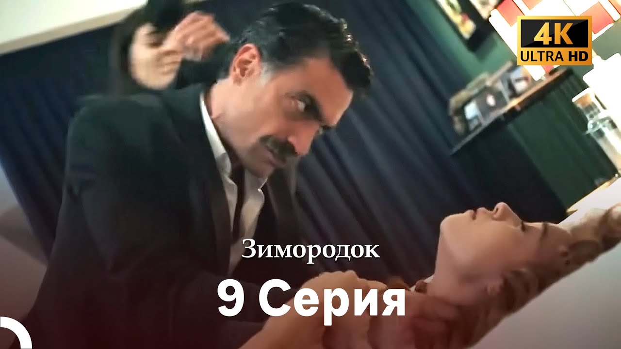 Зимородок 9 Cерия (Русский дубляж) (4K)