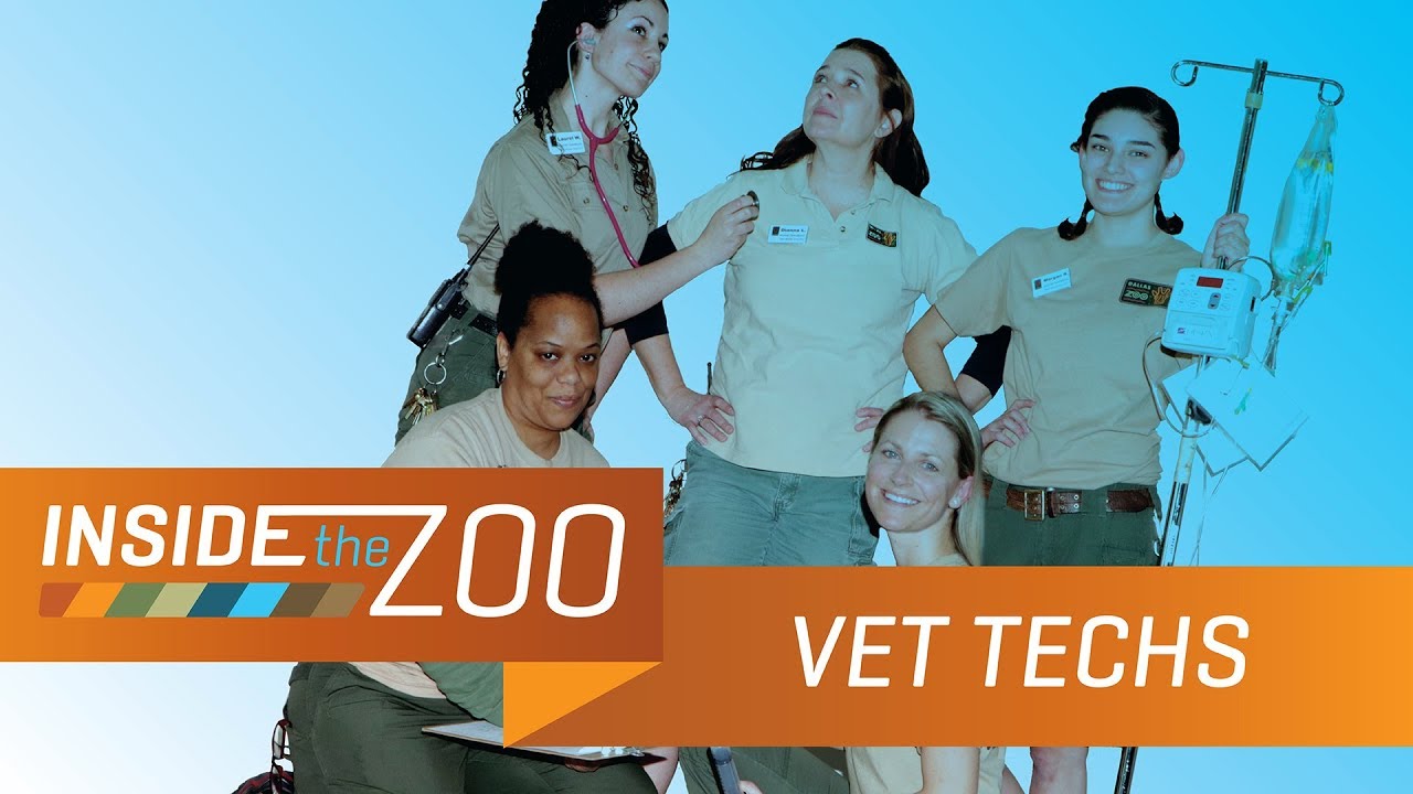 Veterinary Technicians | Inside the Zoo: Hospital, Ep. 3