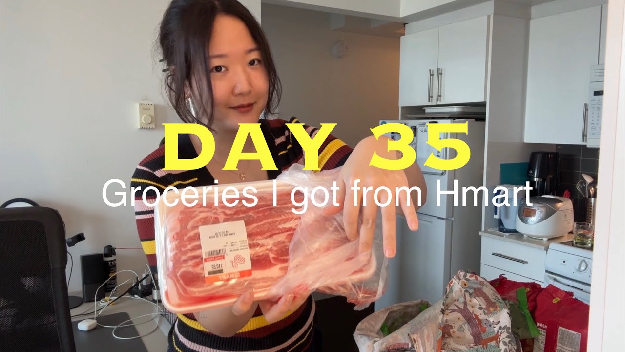 Day 35 of raw artist vlog: groceries I got from Hmart