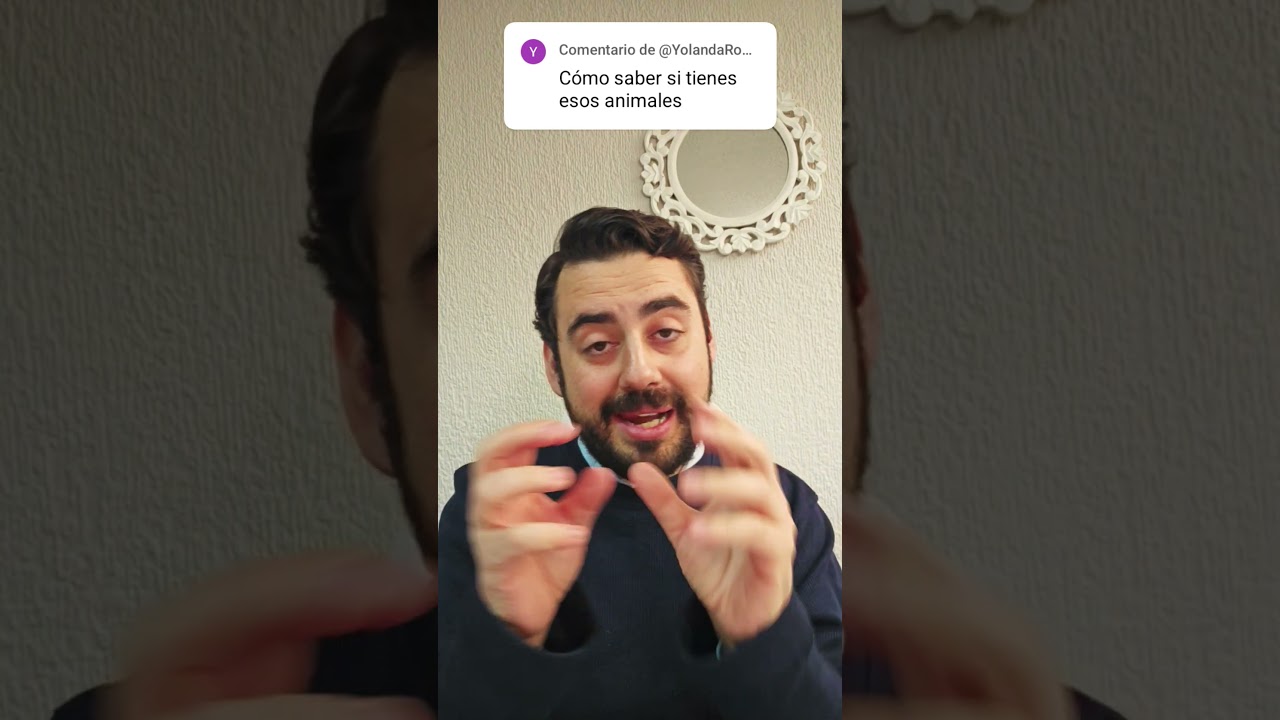 &iquest;C&oacute;mo saber si tengo par&aacute;sitos cerebrales?