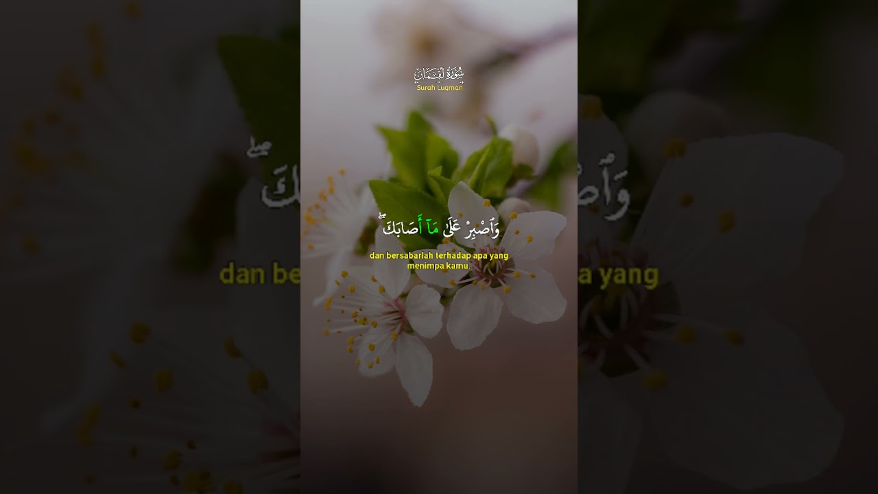 Surah Luqman ayat 17-18  ✨ 