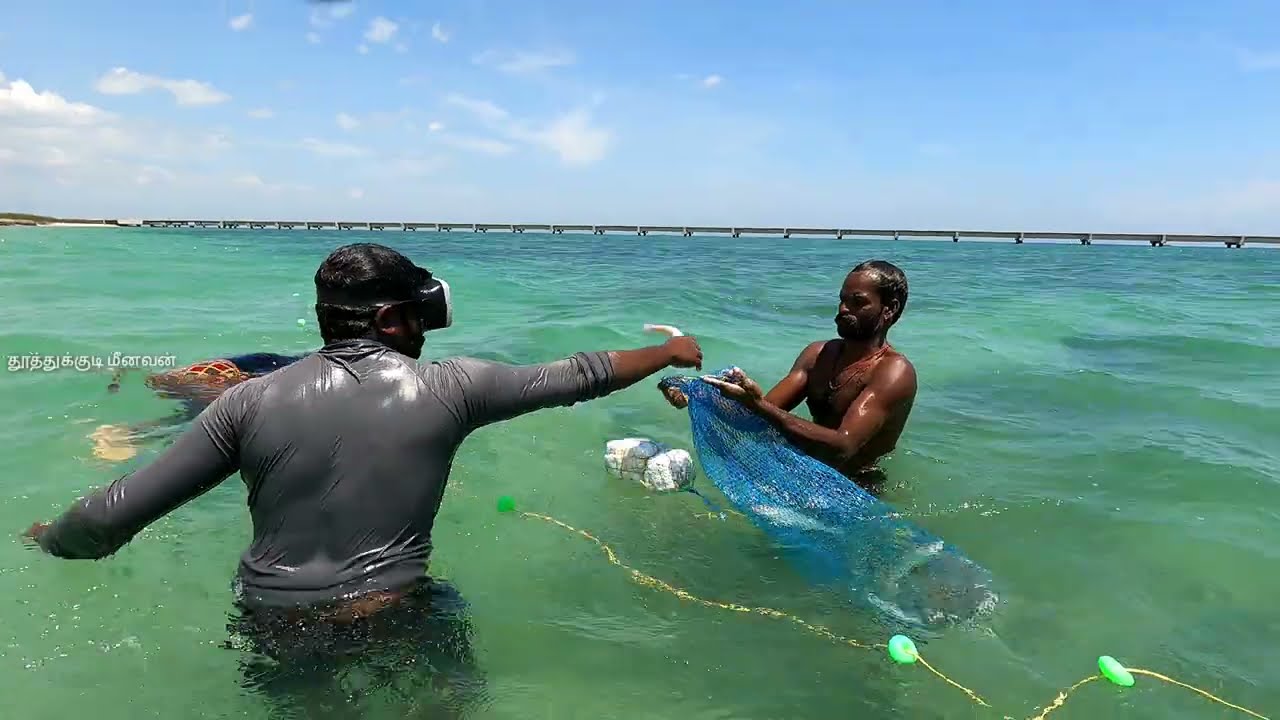 கிளைக்கான் மீன் பிடிப்பது இப்படி மீன் பிடிப்பதை யாரும் காமிக்காதது | Glycan fishing is like fishing