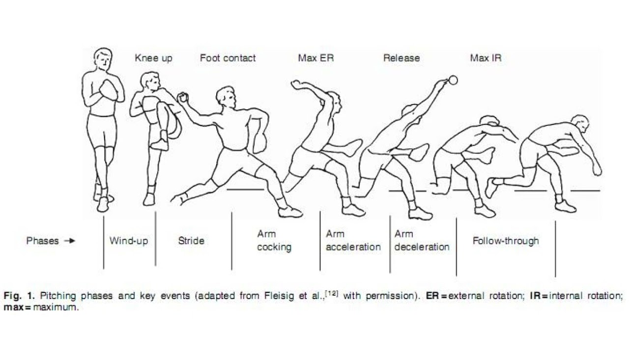 Biomechanics of throwing