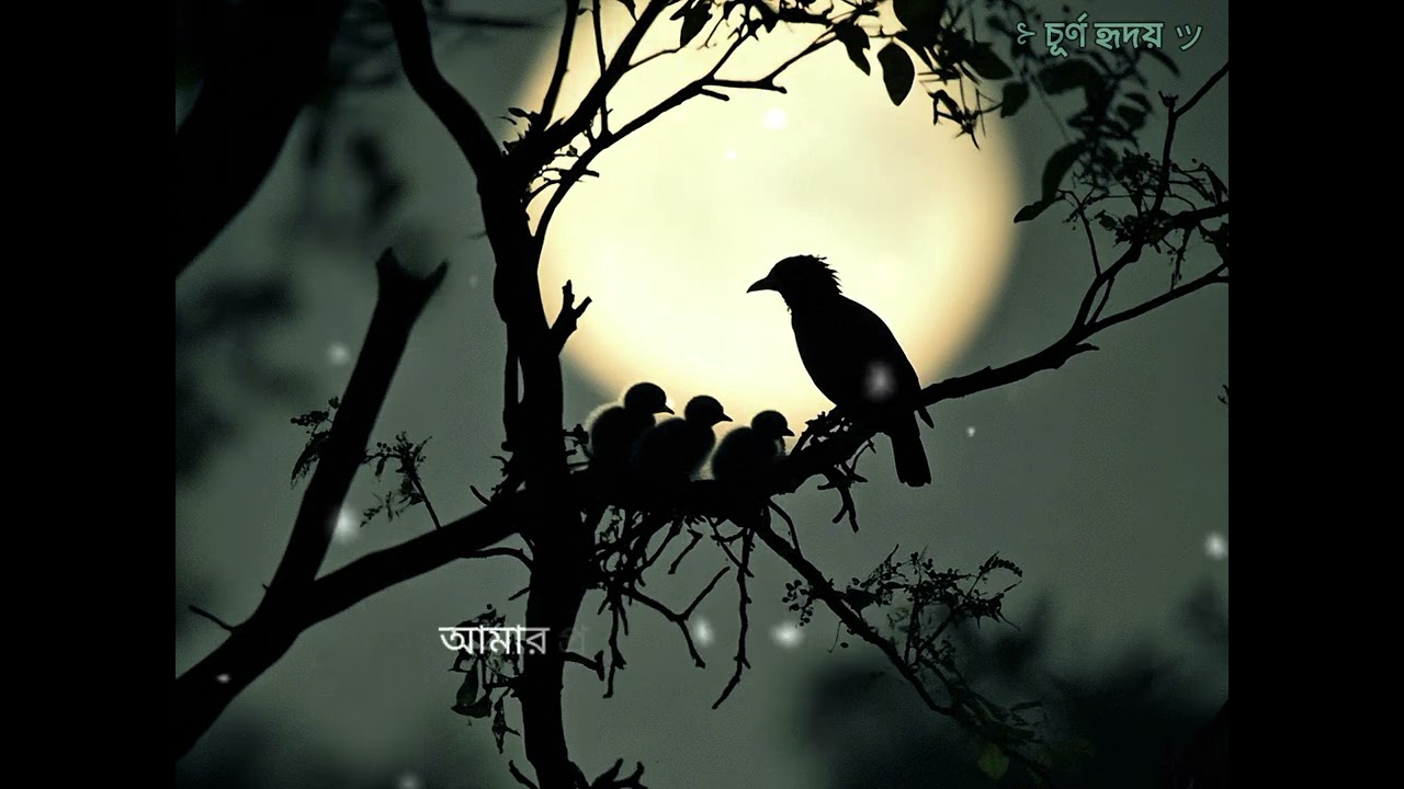 পুরুষ মানেই সেক্রিফাইস । 🙂💔