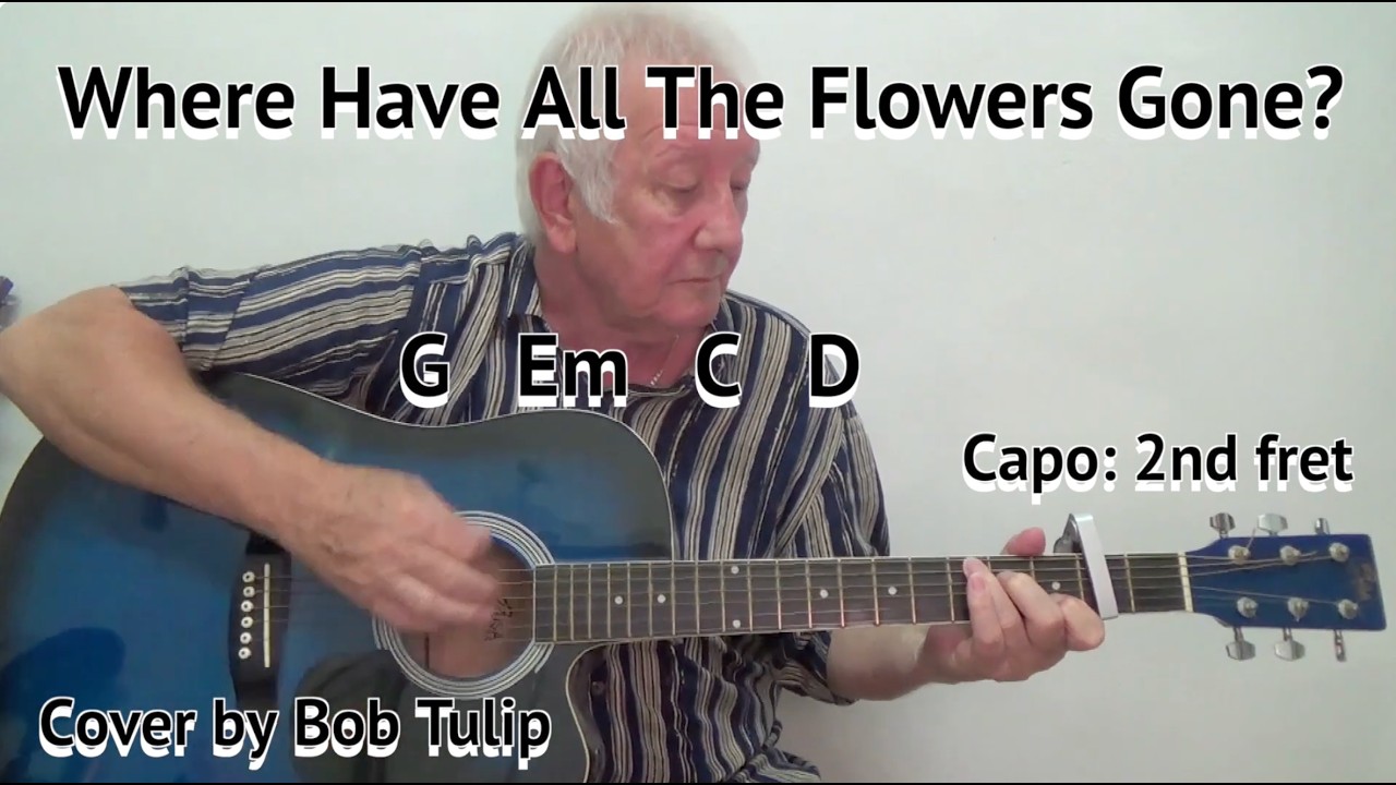 WHERE HAVE ALL THE FLOWERS GONE? - Lyrics With Chords On-Screen