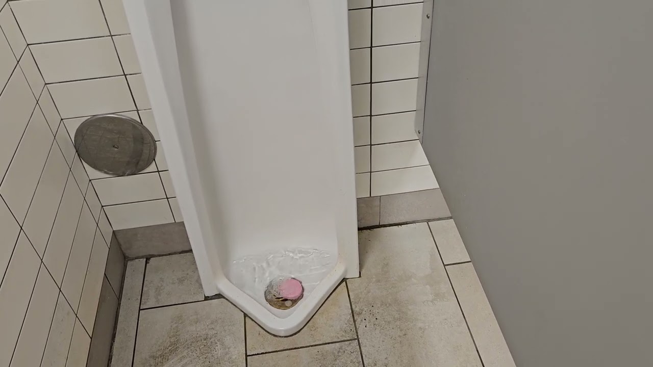 Panera Bread Men's Restroom Westminster, CO Reed St
