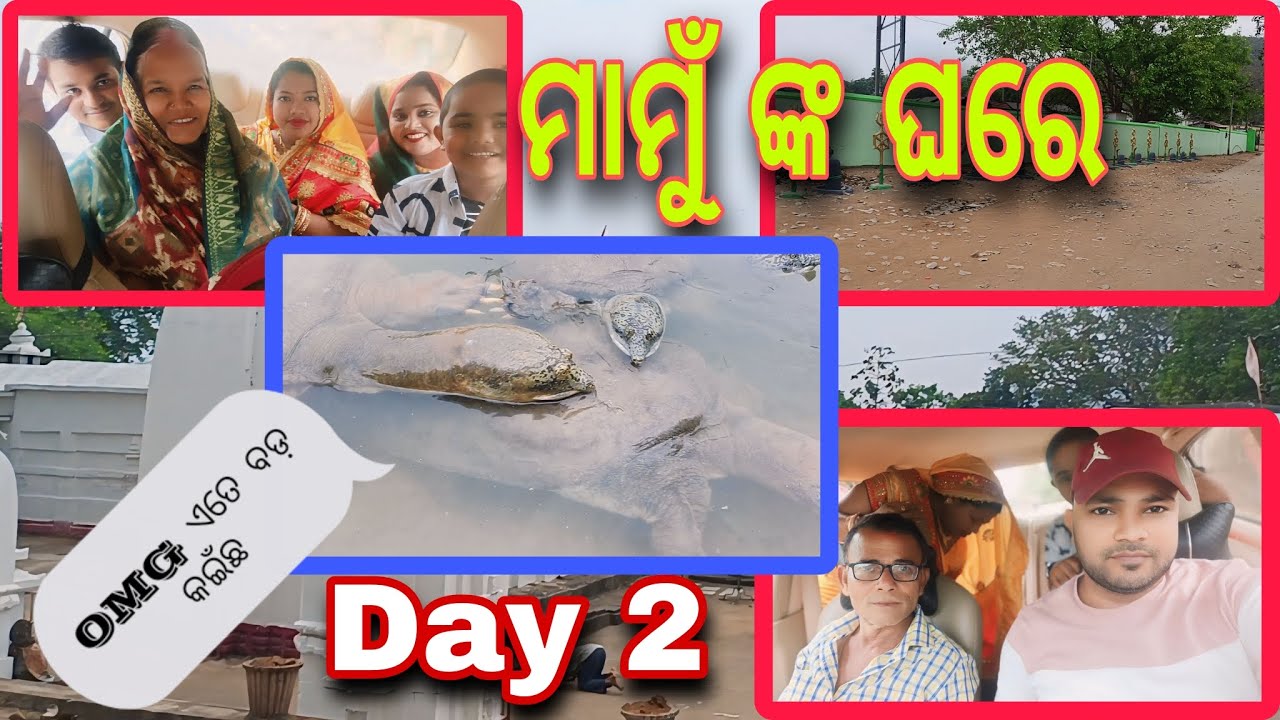 ଏତେ ବଡ଼ କଇଁଛ 😳#odiadailyvlogs#viralodiavlog#rupapintuvlog#odiavlog