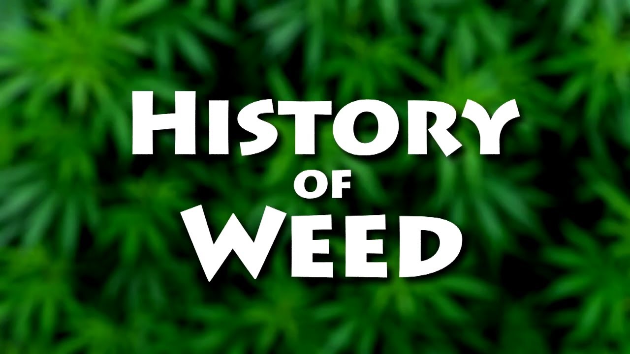 The History of Cannabis: From Illegal to Medicinal