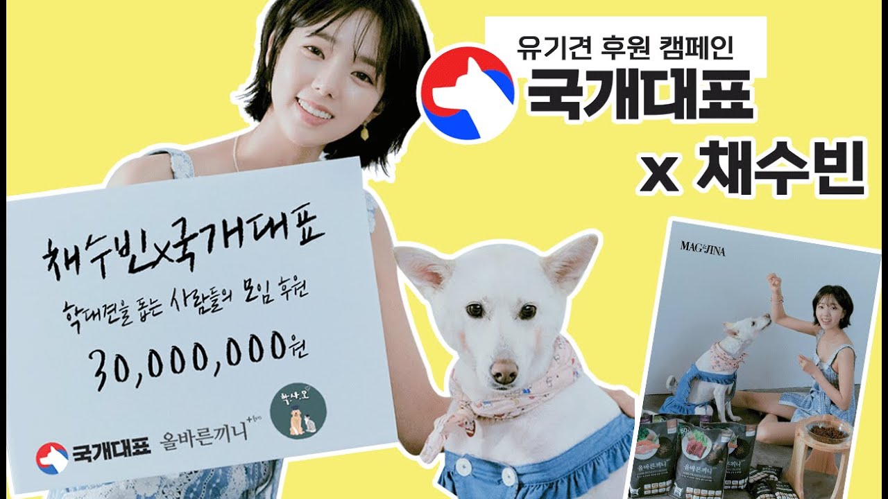 국개대표x채수빈 배우님과 함께 유기견 후원