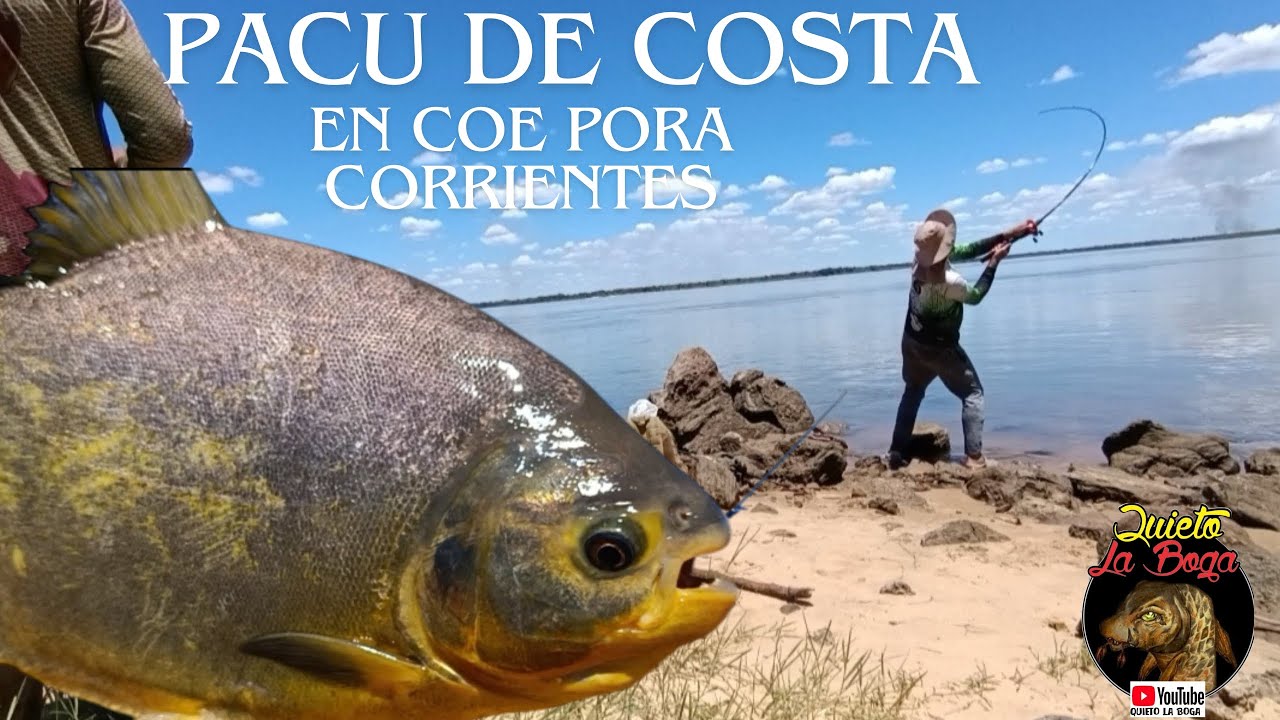 PESCA DE PACU DE COSTA en coe pora corrientes