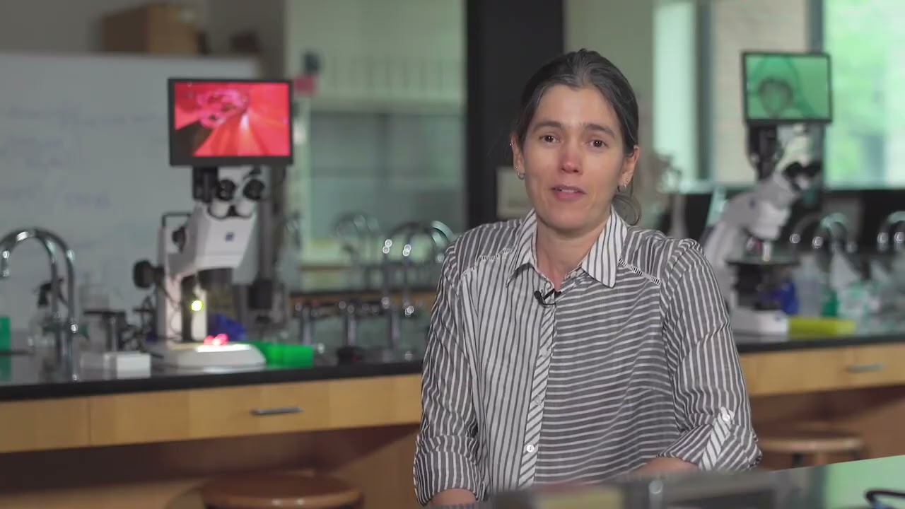 MASSOLIT: Why Do We Age? Natural Selection and 