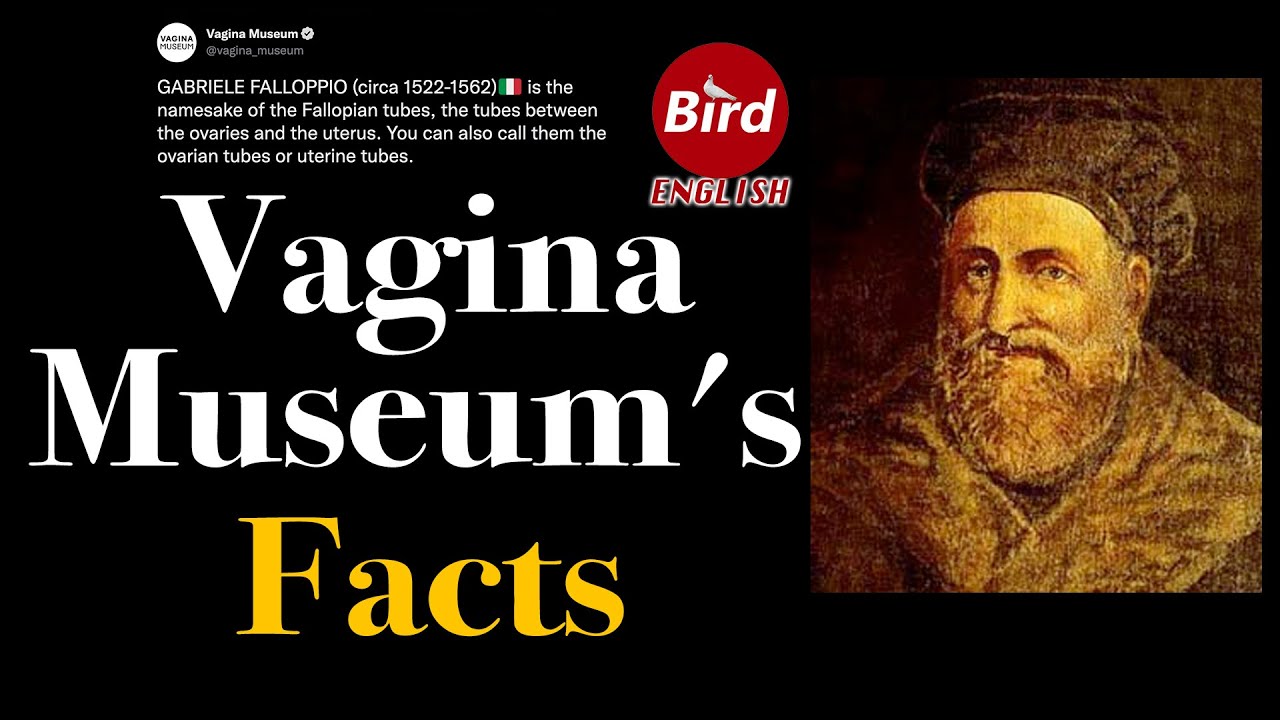 Vagina Museum In London Shared How The Female Reproductive Organs Named After Men || Bird English ||