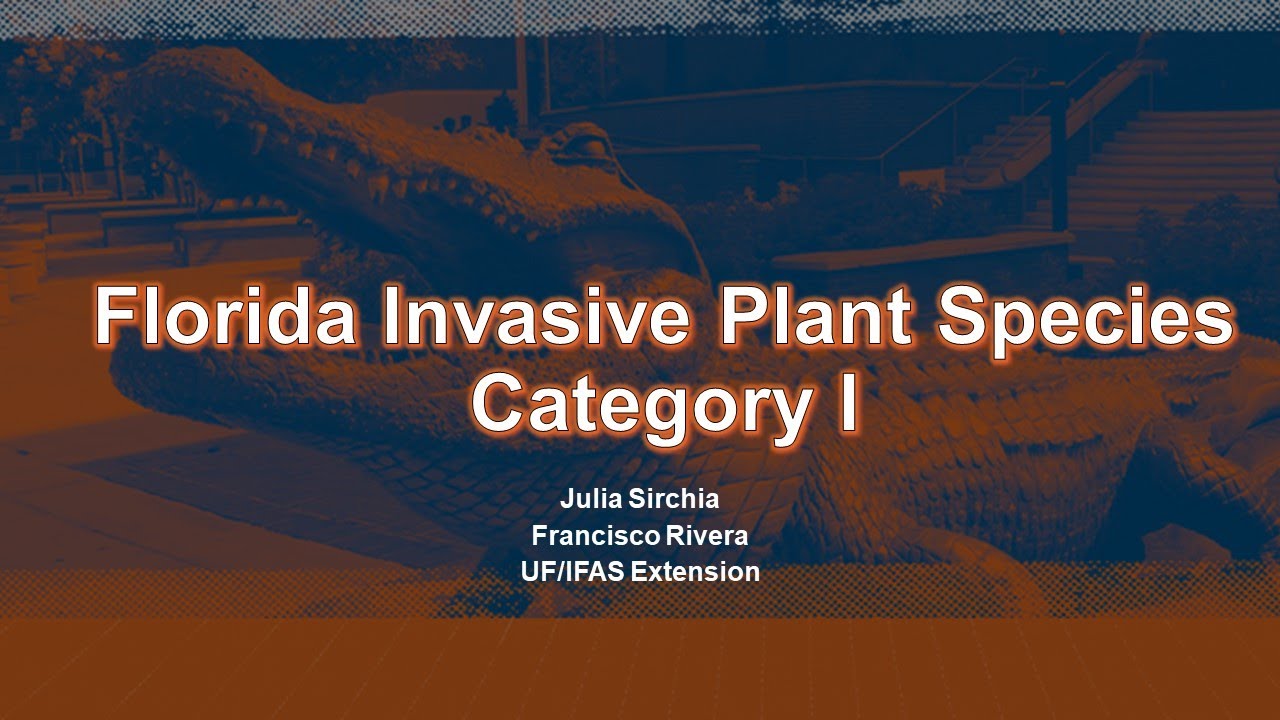 Florida Invasive Plant Species List Category I