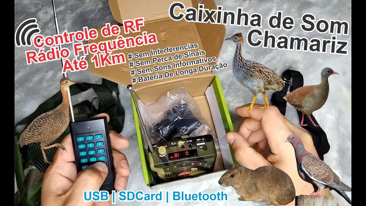 Unbox e Teste Caixinha de Som Chamariz c/ Controle Remoto RF até 1km alcance Nova Aquisição do Canal