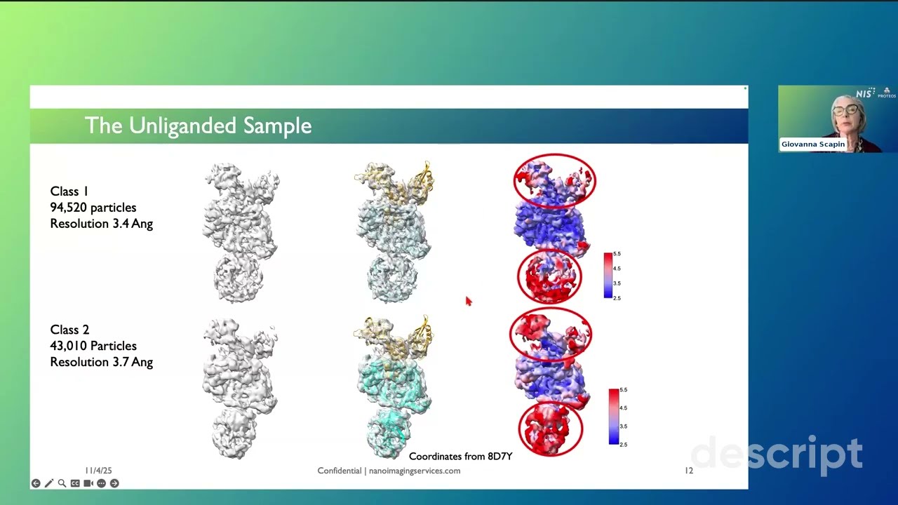 Protein Degraders in Focus: Preparing for Cryo-EM Success