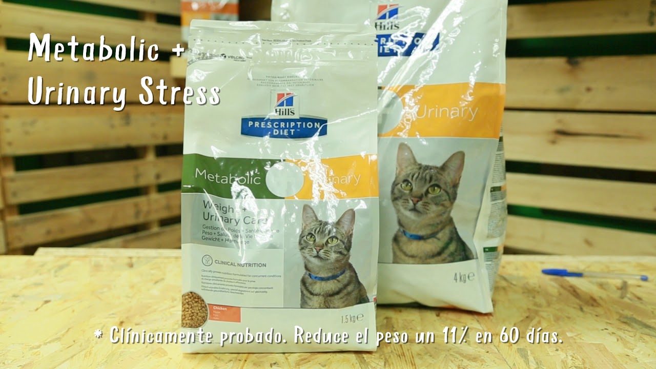 Alimentación Hill's Urinary Care - Tiendanimal
