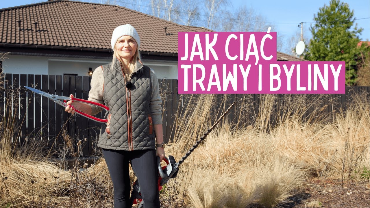 Jak Przycinać Trawy Ozdobne i Byliny? Cięcie traw ozdobnych wiosną.