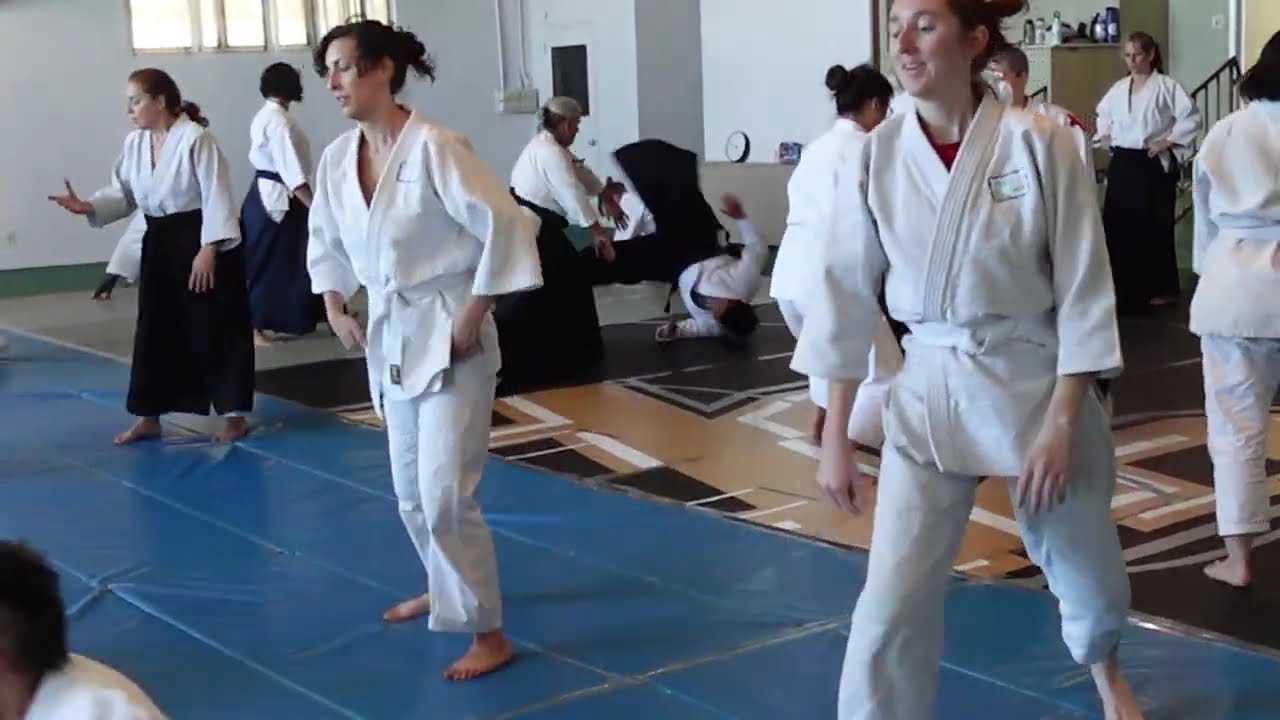Fun at  Women's Aikido Camp 2024