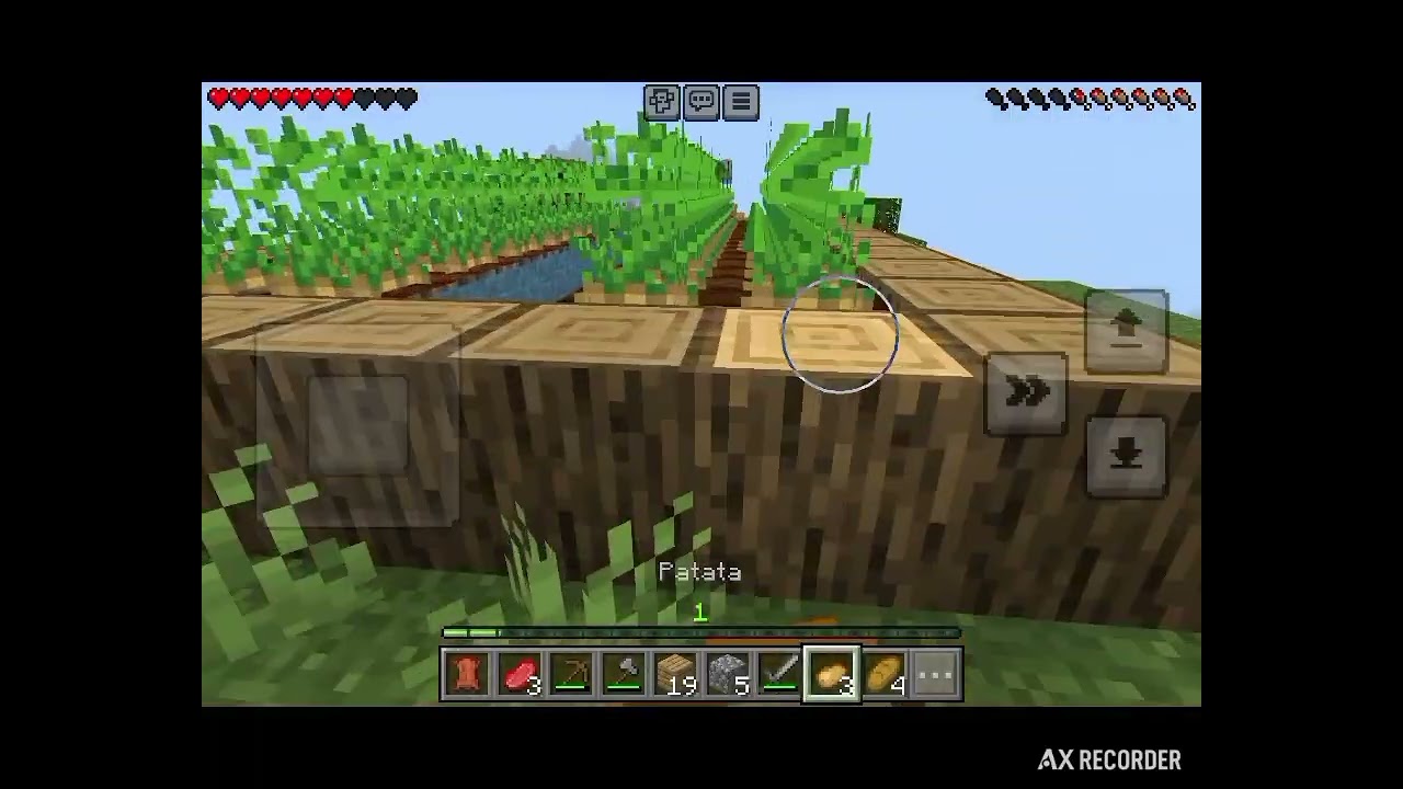 Minecraft 1