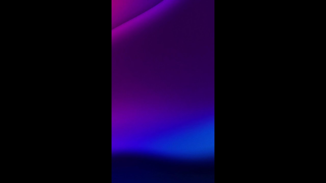 Bidvest Burchmore's auction