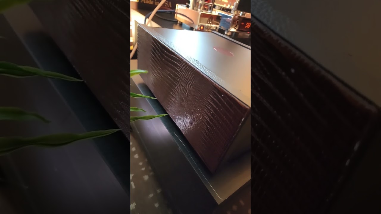 AGD Productions matched Lizard leather amps ! #audiophile