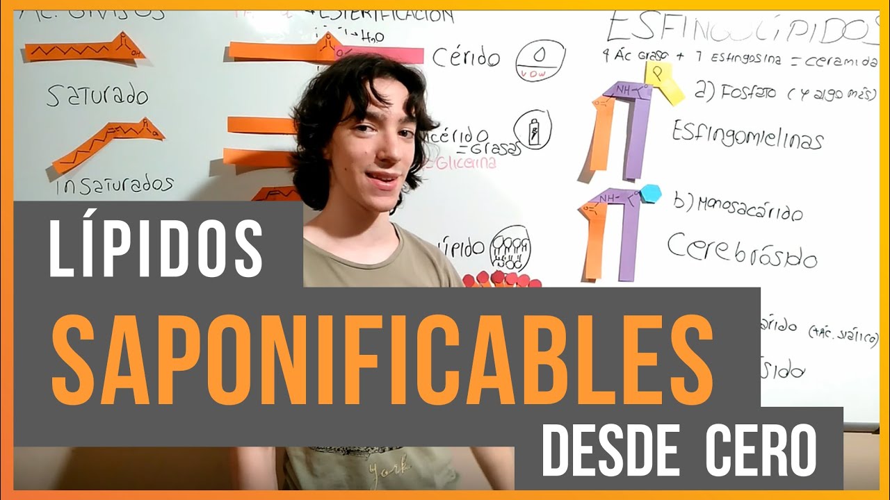 Lípidos Saponificables (Desde 0)