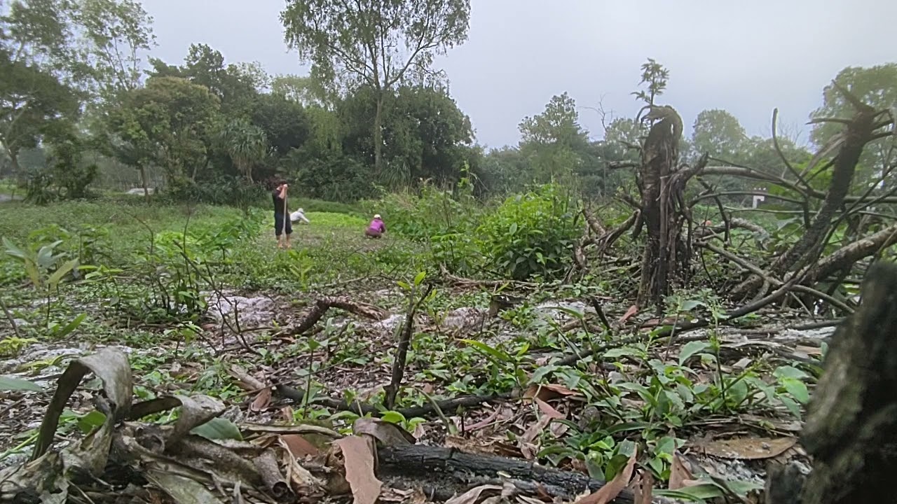 Chasing Stillness: A Vlog on My Serene Lifestyle