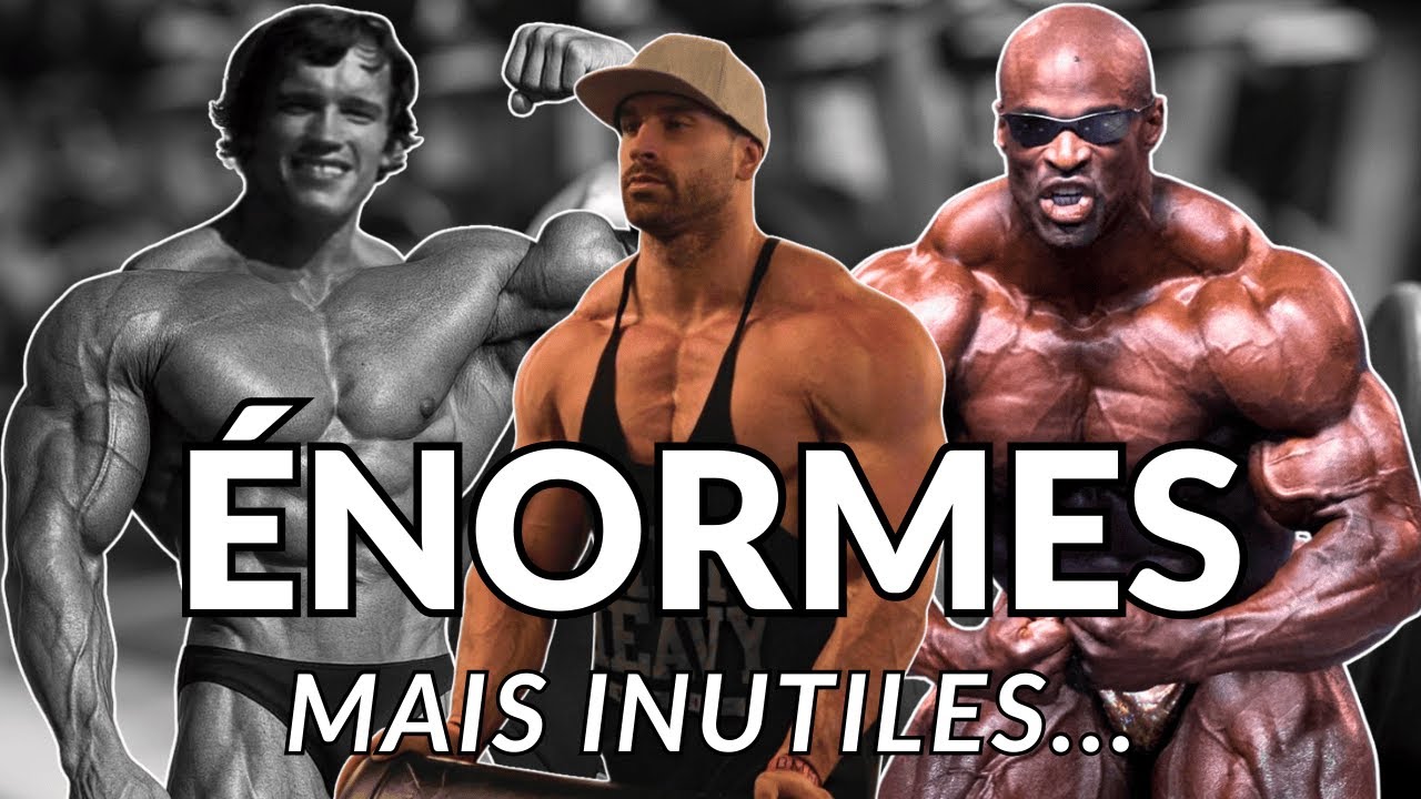Le MENSONGE du FITNESS/BODYBUILDING : Pourquoi j'ai ARR&Ecirc;T&Eacute; la MUSCULATION 