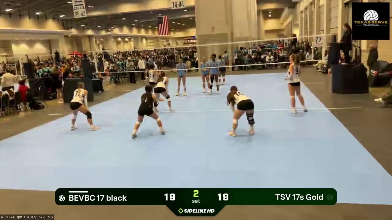 TSV 17s Gold vs. BEVBC 17 black (2026.02.15)