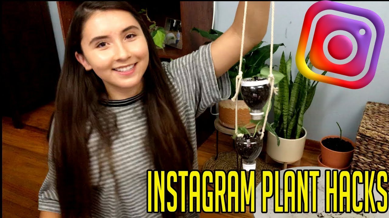 Trying The Worst Instagram DIY Houseplant Hacks