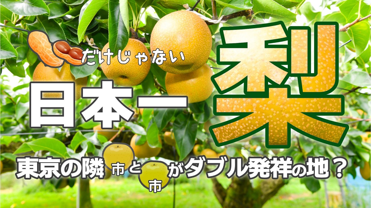 梨の日本一は千葉県？超意外な発祥の地と梨の名産地