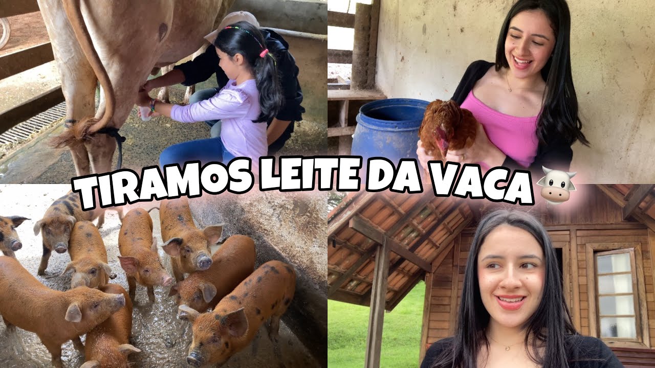 NOSSOS DIAS NA FAZENDA- TUDO DE BOM- CONTATO COM OS ANIMAIS- COMIDA MINEIRA