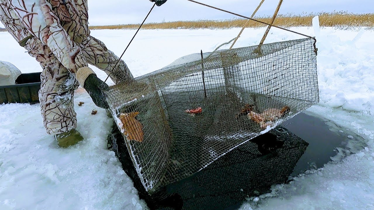 Я в ШОКе от катиски, она и здесь ловит больше всех. Ловля рыбы мордушками. Рыбалка в Сибири 2021.