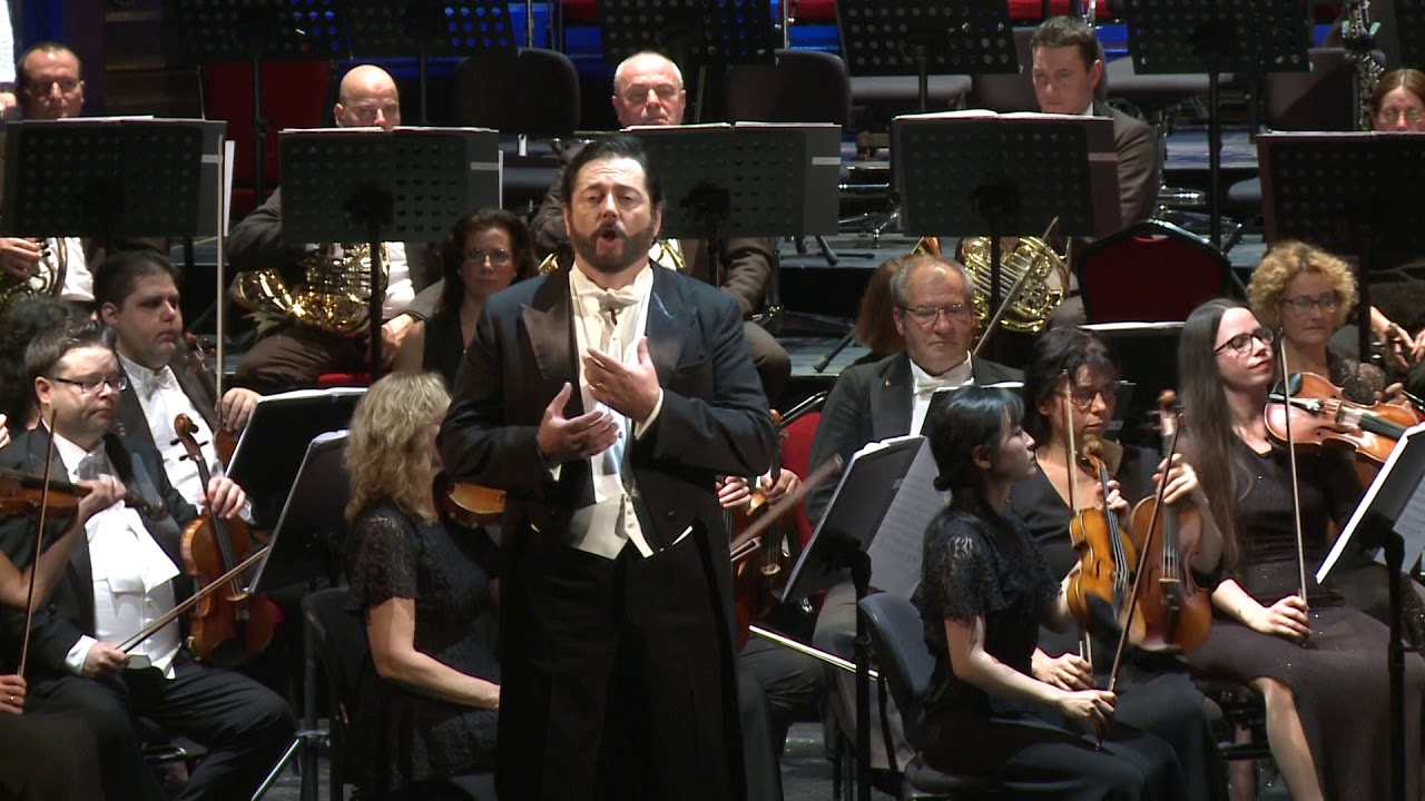 Michele Kalmandy sings Renato's aria from Act III