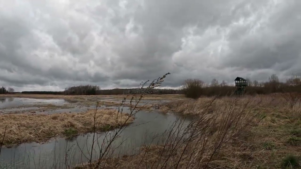 19 lutego 2023 G&oacute;rniańskie łąki 5K60 (obrzeża Puszczy Białowieskiej) GoPro  Hero 11 Black.