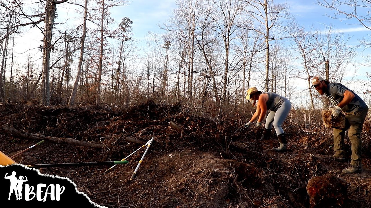 The Never Ending Brush Pile (Making Biochar For Soil Amendment)