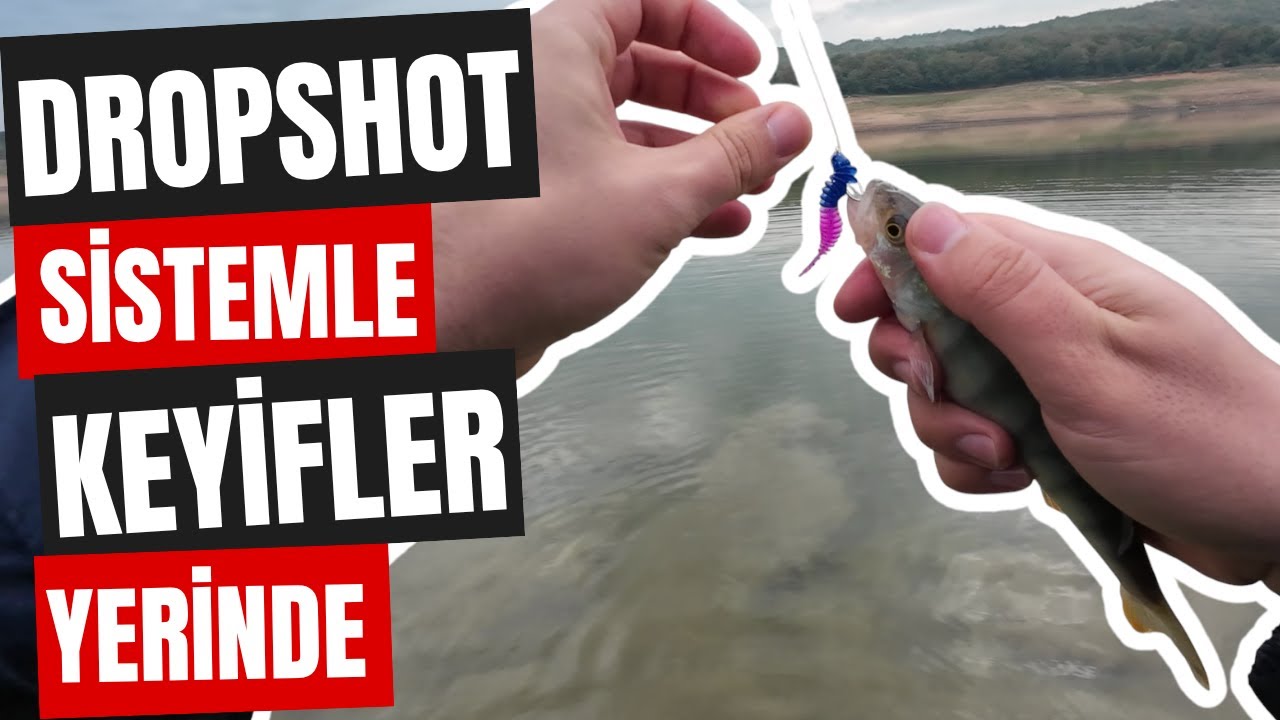 Dropshot Tekniğiyle Balığı Aldık | Ömerli Barajı Tatlısu Levreği Avı | Dropshot Perch Fishing