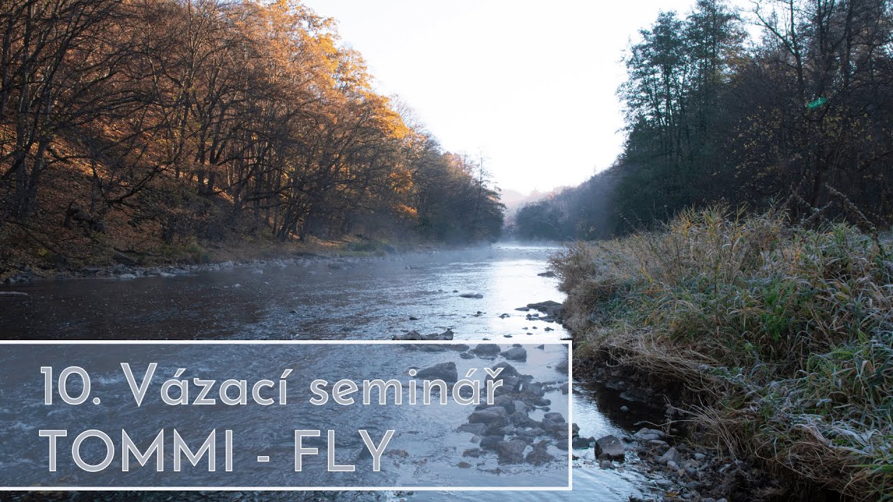 10. V&aacute;zac&iacute; semin&aacute;ř TOMMI - FLY