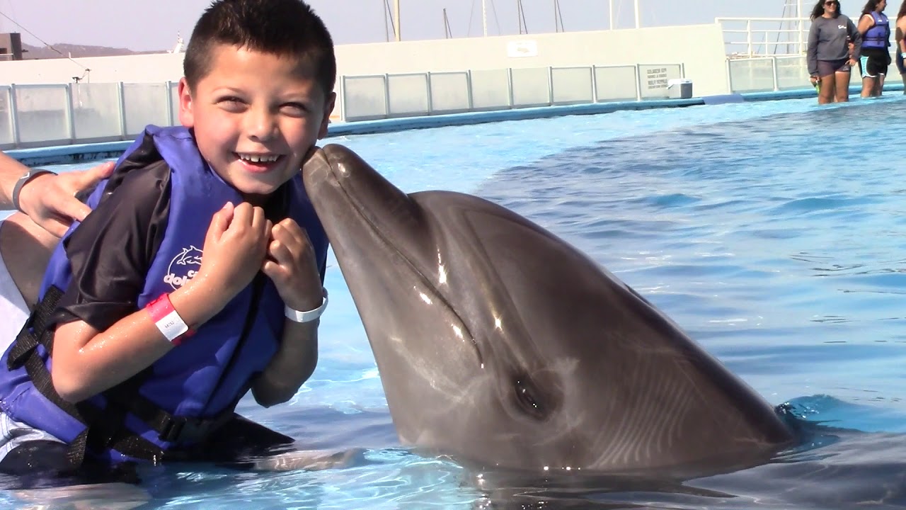 Sarah swimming with Dolphins in Cabo San Lucas , Mexico