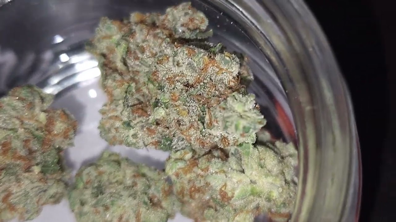 Happy Valley - Grandpa's Cookies🥶