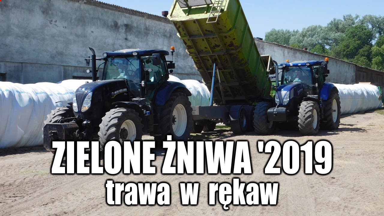 Zielone żniwa '2019 – trawa w rękaw - Budissa Bagger, New Holland, Massey Ferguson